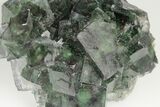 Green Cubic Fluorite Cluster With Purple Edges - Okorusu Mine #191985-2